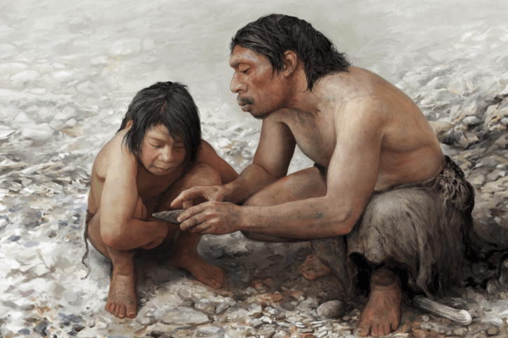 hominideo